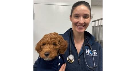 san francisco animal hospital.